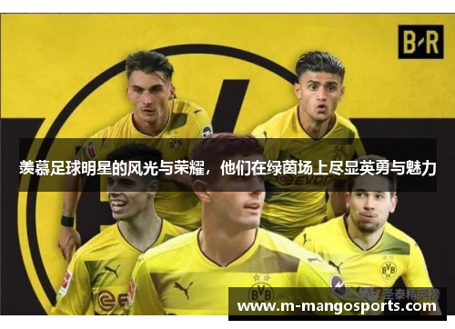 羡慕足球明星的风光与荣耀，他们在绿茵场上尽显英勇与魅力