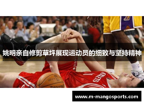姚明亲自修剪草坪展现运动员的细致与坚持精神