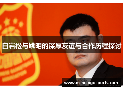 白岩松与姚明的深厚友谊与合作历程探讨