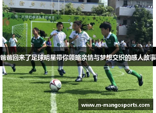 爸爸回来了足球明星带你领略亲情与梦想交织的感人故事